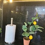 Casa Fanny