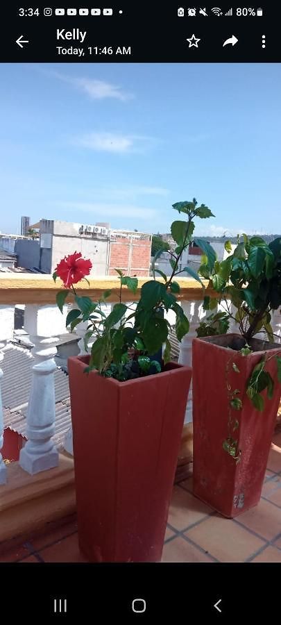 Homestay Casa Fanny
