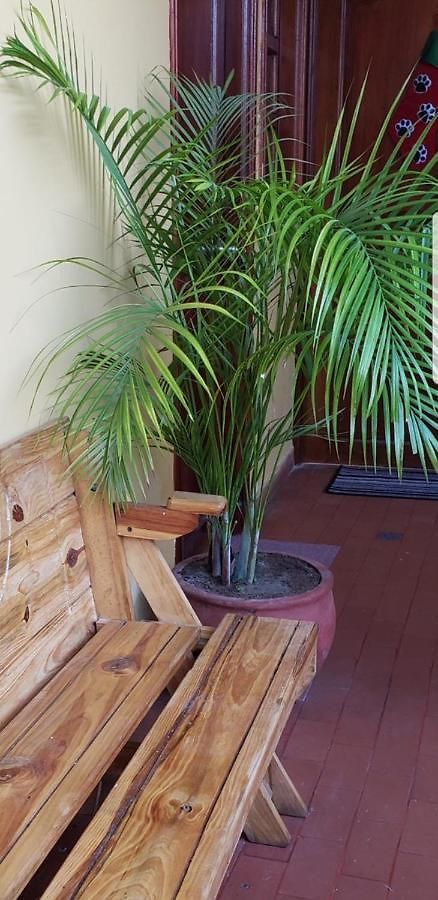 Casa Fanny Homestay Cartagena