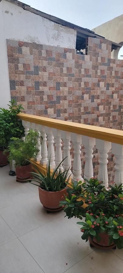 Casa Fanny Homestay *