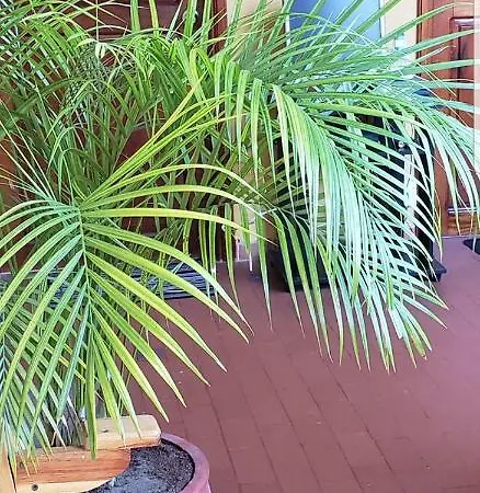 Casa Fanny Homestay Cartagena